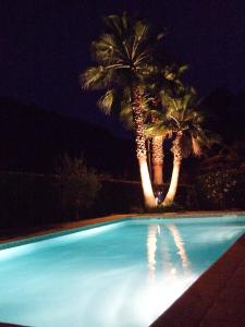 a swimming pool with two palm trees at night at Au vallon rouge (Suite double) in Saint-Paul-de-Vence