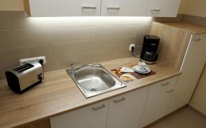 eine Küchentheke mit einer Spüle und einem Toaster in der Unterkunft Haus am See Rossbach in Roßbach