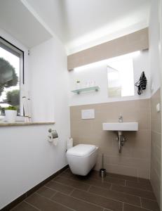 a bathroom with a toilet and a sink at Haus am See Rossbach in Roßbach