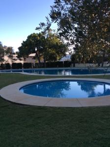 mały basen w parku z drzewami w obiekcie Apartamento Hacienda San Manuel w Marbelli