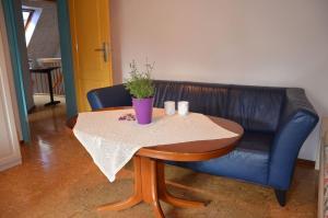 una mesa y un sofá con una planta en Kwatery przy A4, en Dąbrowa Bolesławiecka