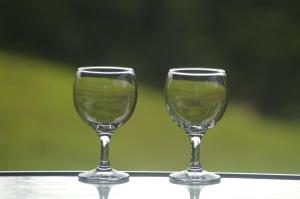 two wine glasses sitting on top of a table at Bellthorpe Stays in Maleny