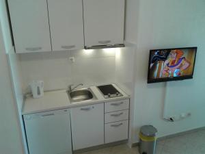 Kuchyň nebo kuchyňský kout v ubytování Apartments Toma Bajnice Directly
