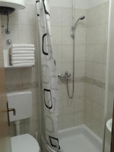 W łazience znajduje się prysznic, toaleta i umywalka. w obiekcie Apartments Toma Bajnice Directly w mieście Krilo