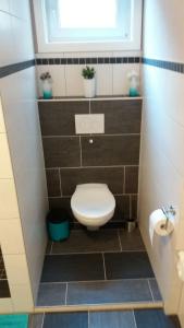 ザンクト・アンドレーアスベルクにあるHaus Isabelle EGの小さなバスルーム(トイレ、窓付)が備わります。