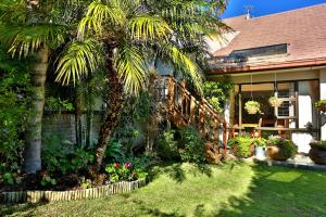 a palm tree in front of a house at Hazelwood House in Stellenbosch