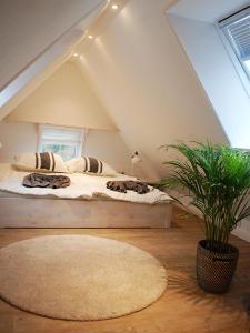 a attic room with two beds and a potted plant at Rüthlis Hüs in Klanxbüll