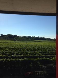 Fotografia z galérie ubytovania B&B Zanin di Zanin Mauro v destinácii Valdobbiadene