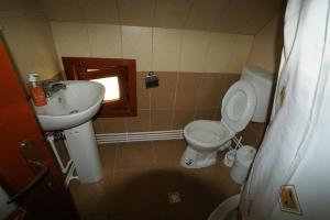 a bathroom with a sink and a toilet and a window at Cabana Ioana in Munună