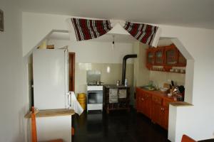 Kuchyň nebo kuchyňský kout v ubytování Cabana Ioana