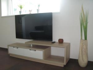 einen Flachbild-TV auf einem Holzständer mit einer Vase in der Unterkunft Haus am See in Ried im Oberinntal