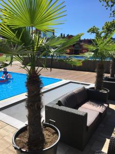 eine Terrasse mit einem Sofa und Palmen neben einem Pool in der Unterkunft Butique Apartman in Balatonlelle