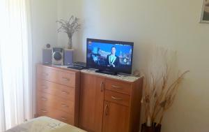 TV a/nebo společenská místnost v ubytování STUDIO APARTMAN STARA BAŠKA