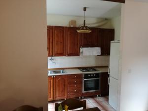 Kuchyňa alebo kuchynka v ubytovaní apartman Kate + 33 fotografií