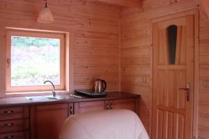 KamesznicaにあるVilla Różaのシンクと窓のあるキッチン