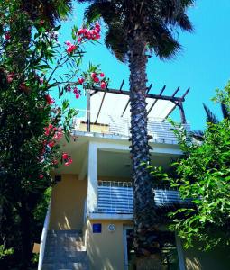 Zahrada ubytování Apartments Selleng
