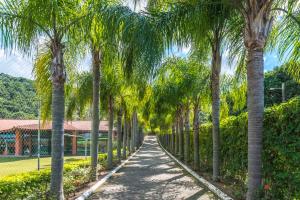 a pathway lined with palm trees in a park at Pousada Recanto das Flores in Governador Celso Ramos