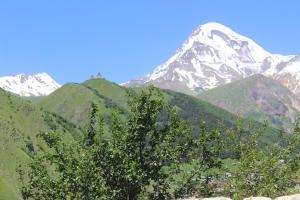 a snow covered mountain with a tree in front of it at Inga Guest House in Stepantsminda