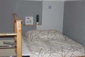 Posteľ alebo postele v izbe v ubytovaní Apartamenty Górskie