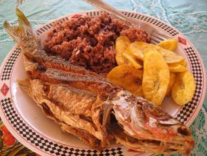 talerz jedzenia z mięsem i frytkami na stole w obiekcie Ocean View w mieście Playas