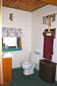 La salle de bains est pourvue de toilettes et d'un lavabo. dans l'établissement Dunphy's Bed and Breakfast, à Parson