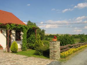 Una casa con hiedra junto a una valla. en Patakparti Apartman, en Bozsok