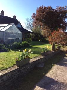 a garden with two flower pots on a retaining wall at Poplar Farm in Wedmore