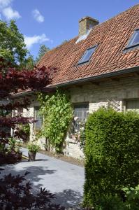 Zahrada ubytování Vakantiewoning Wanderlust