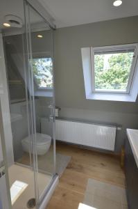 W łazience znajduje się przeszklony prysznic i toaleta. w obiekcie Vakantiewoning Wanderlust w mieście Alveringem