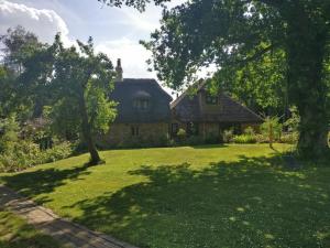 a house in the middle of a yard with trees at Thatched Cottage in Ashford