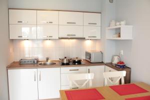 Kuchnia lub aneks kuchenny w obiekcie Apartament Kapitański Bursztynowe Komnaty