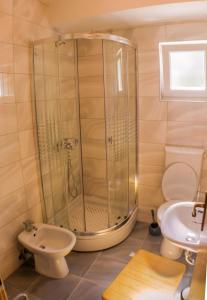 La salle de bains est pourvue d'une douche, de toilettes et d'un lavabo. dans l'établissement Apartments Frano Ropa, à Ropa