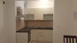 Kuchyň nebo kuchyňský kout v ubytování Apartments Vinko