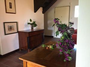 Fotografie z fotogalerie ubytování Casa Cecilia Country House v destinaci Salgareda