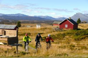 three people riding bikes in a field with a red barn at Storefjell Resort in Gol +53 photos