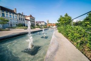 un gruppo di anatre che nuotano in una fontana di Le Vieux Troyes a Troyes