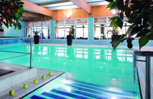 a swimming pool with green water in a building at Pensjonat Tadeusz i Apartamenty w Darłówku in Darlowko