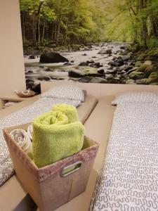 um quarto com duas camas e uma pintura de um rio em Rosa Bed and Breakfast em Podgorje