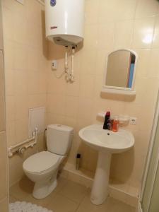 a small bathroom with a toilet and a sink at Elektromash Hotel in Tiraspol