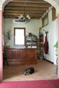 Fotografie z fotogalerie ubytování Locanda Antico Fighèr v destinaci Musile di Piave