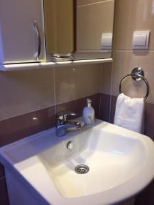 Ένα μπάνιο στο Holiday Home Aksentijevic +39 φωτογραφίες
