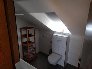 ハーヘンブルクにあるFerienwohnung Hachenburgの小さなバスルーム(トイレ、照明付)