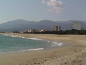 アルジェレス・シュル・メールにあるArgelès Plage-tout près de la merの海を背景に建つ建物のあるビーチ