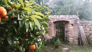 Fotografie z fotogalerie ubytování Casa Orsoni v destinaci Calvi + 62 fotografií