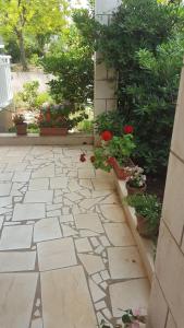 Fotografie z fotogalerie ubytování Apartments Lejla Korčula v destinaci Korčula