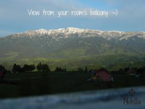 Gallery image of Nobillis - Carpathian Residence in Peştera