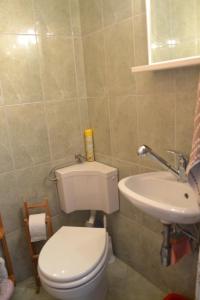 a bathroom with a white toilet and a sink at Country House Vrsani in Rab +11 photos