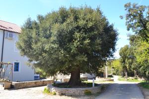 Ein Baum in einem Steinkreis vor einem Haus in der Unterkunft Country House Vrsani in Rab
