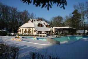 a house with a swimming pool in the snow at Molecaten Park De Leemkule in Hattem +24 photos