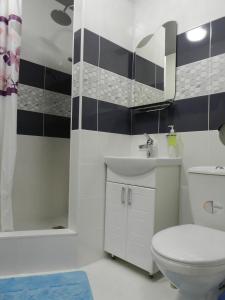 a bathroom with a toilet and a sink and a tub at Apartment on Mstyslavs'ka in Chernihiv